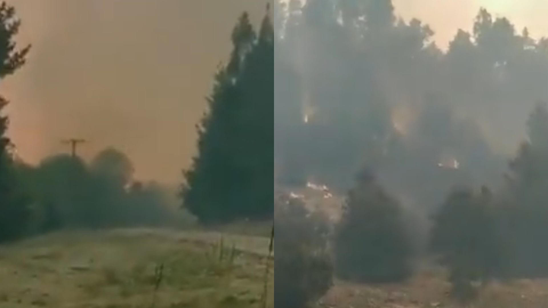 Aún no contienen incendio en Santa Bárbara: Forestal afirmó que no lo provocó “quema autorizada”
