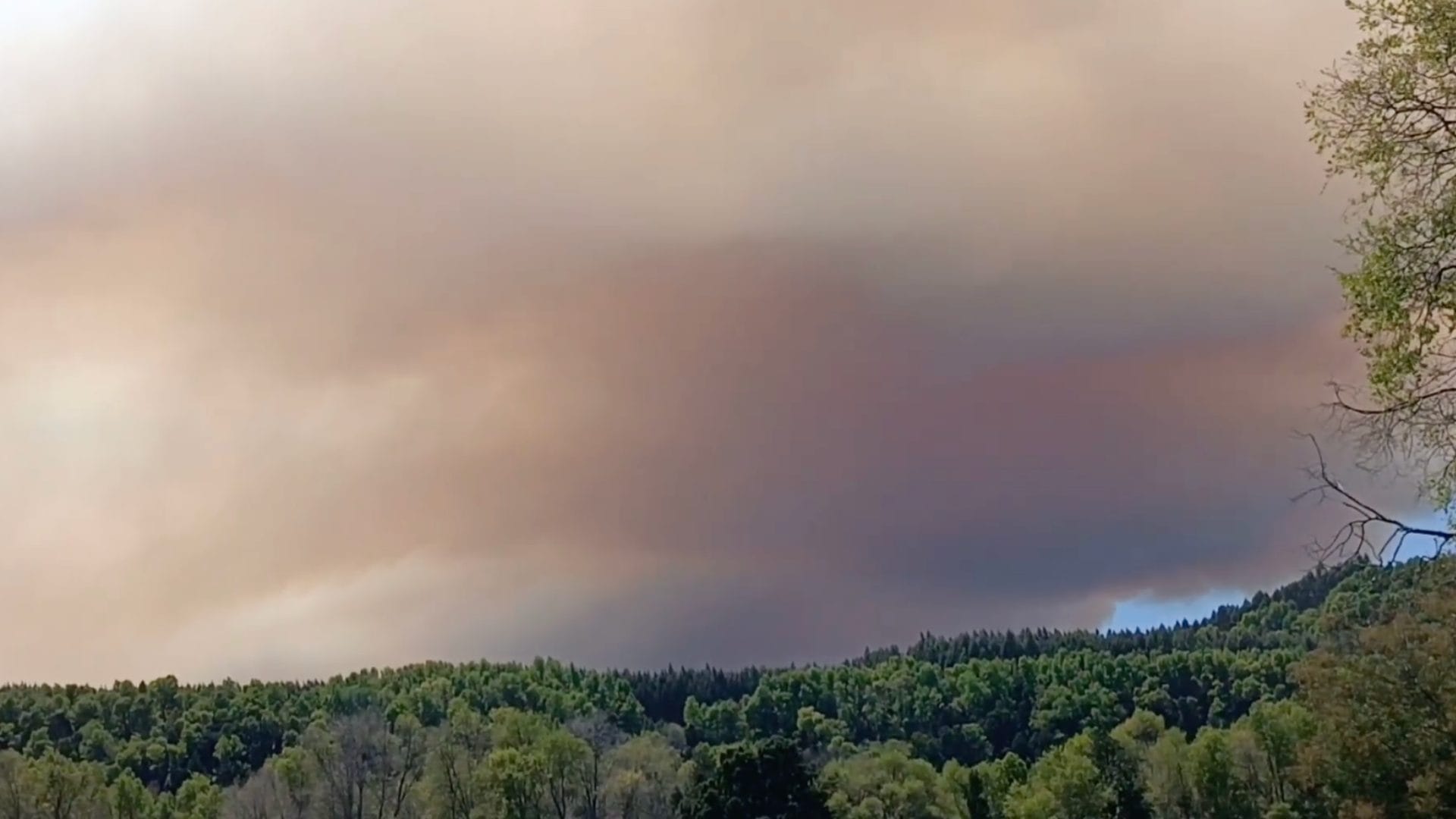 Decretan alerta amarilla en Santa Bárbara por incendio forestal