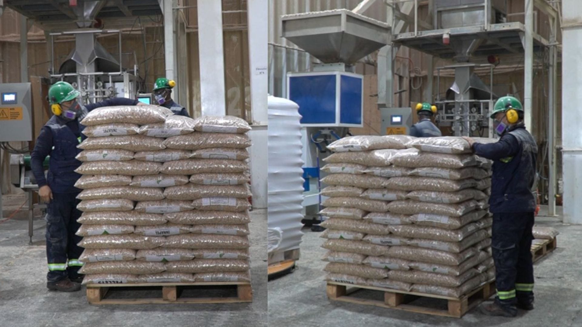 Octubre y noviembre los mejores meses para comprar pellet por adelantado: Innapel tiene los precios más bajos