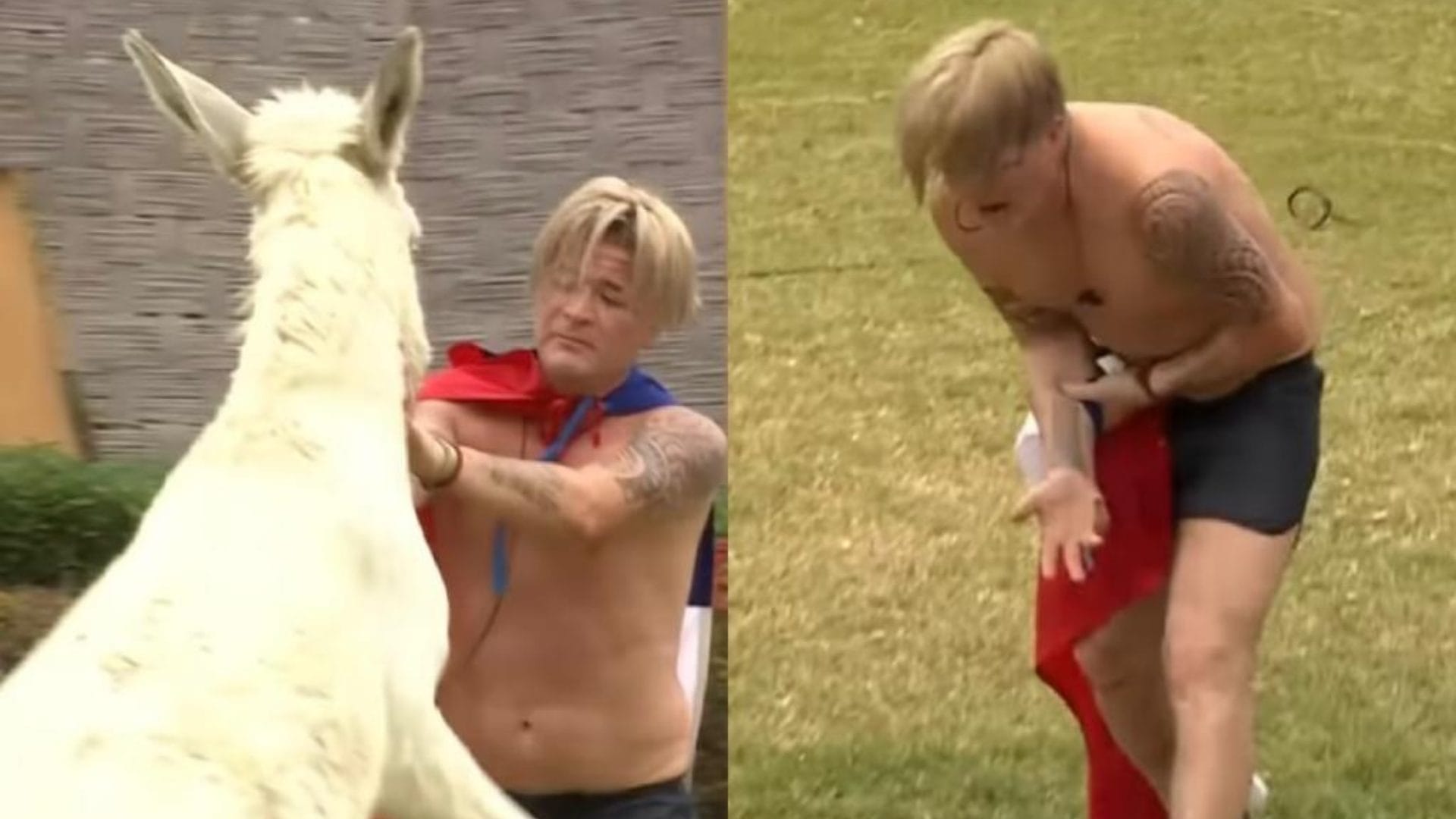 Del amor al odio…: Junior Playboy sufrió fuerte mordida de un burro en “Tierra Brava”