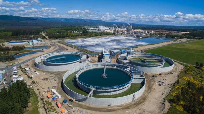 Reestructuración en empresas Arauco deriva en la desvinculación de al menos 300 trabajadores