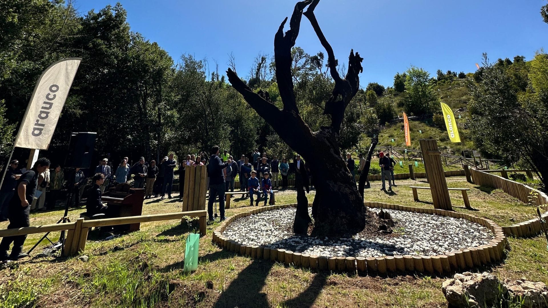 Reabren las puertas del Parque Coyanmahuida: El “museo verde” de Florida está listo para recibir al público