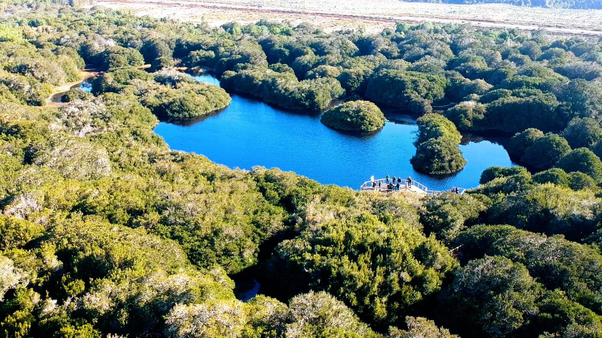 Comunidad participó en la restauración con especies nativas: Nuevo Parque Natural Pewen se emplazará en Lebu