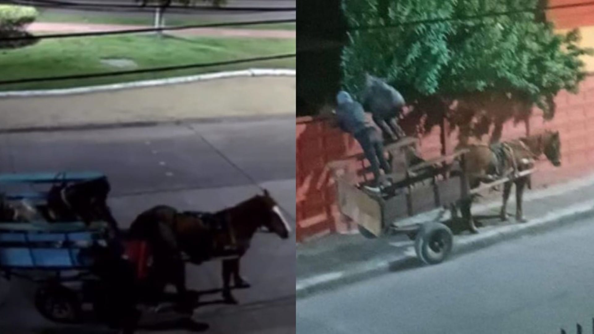 ¡Andan robando con carretón y caballo en Talcahuano! Hasta Bomberos han sido víctimas