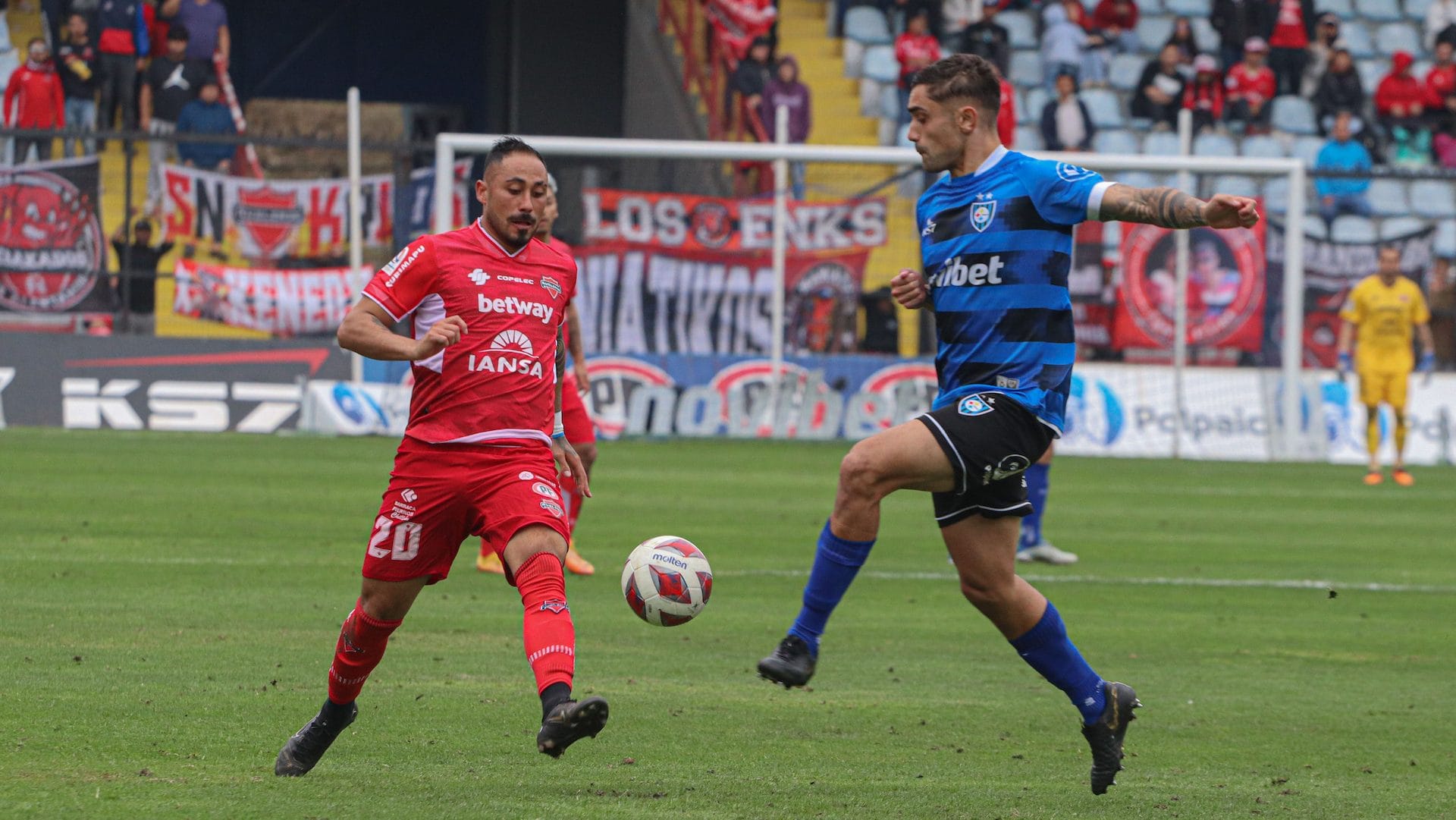 Huachipato es pura ilusión en la recta final del torneo y sueña con su tercer título en el fútbol chileno