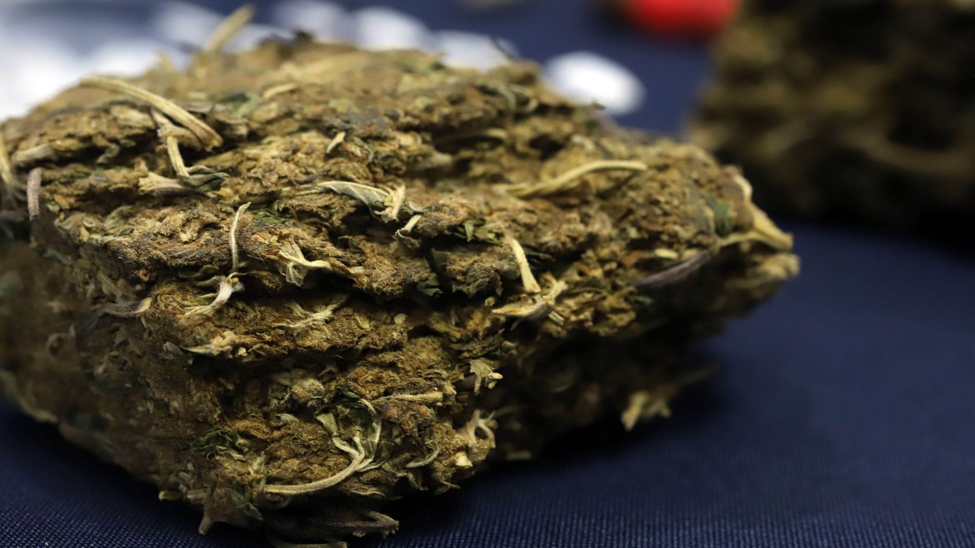 PDI desbarató banda ligada al narcotráfico e incauta más de $535 millones en marihuana