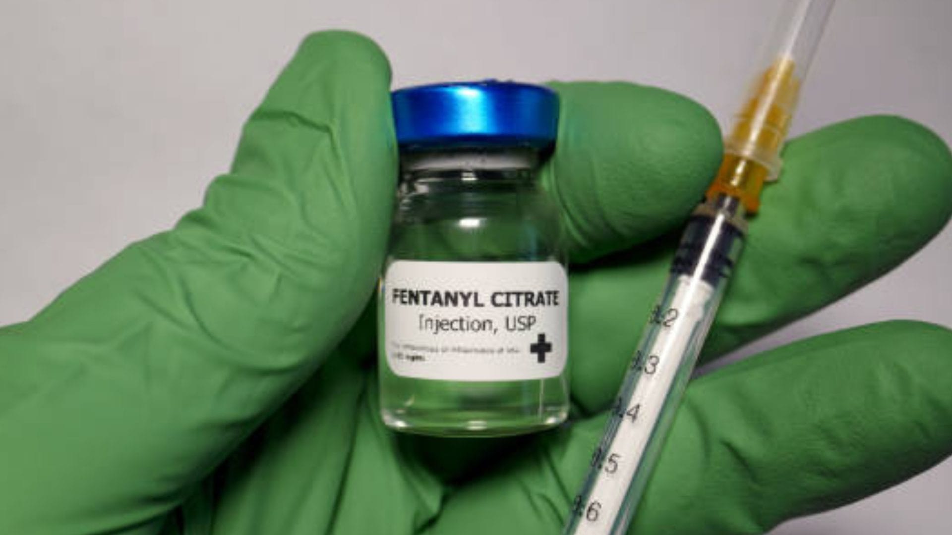 Registran la mayor incautación de “droga zombie” en Chile: Casi mil ampollas de fentanilo estaban ocultas en camión de carne