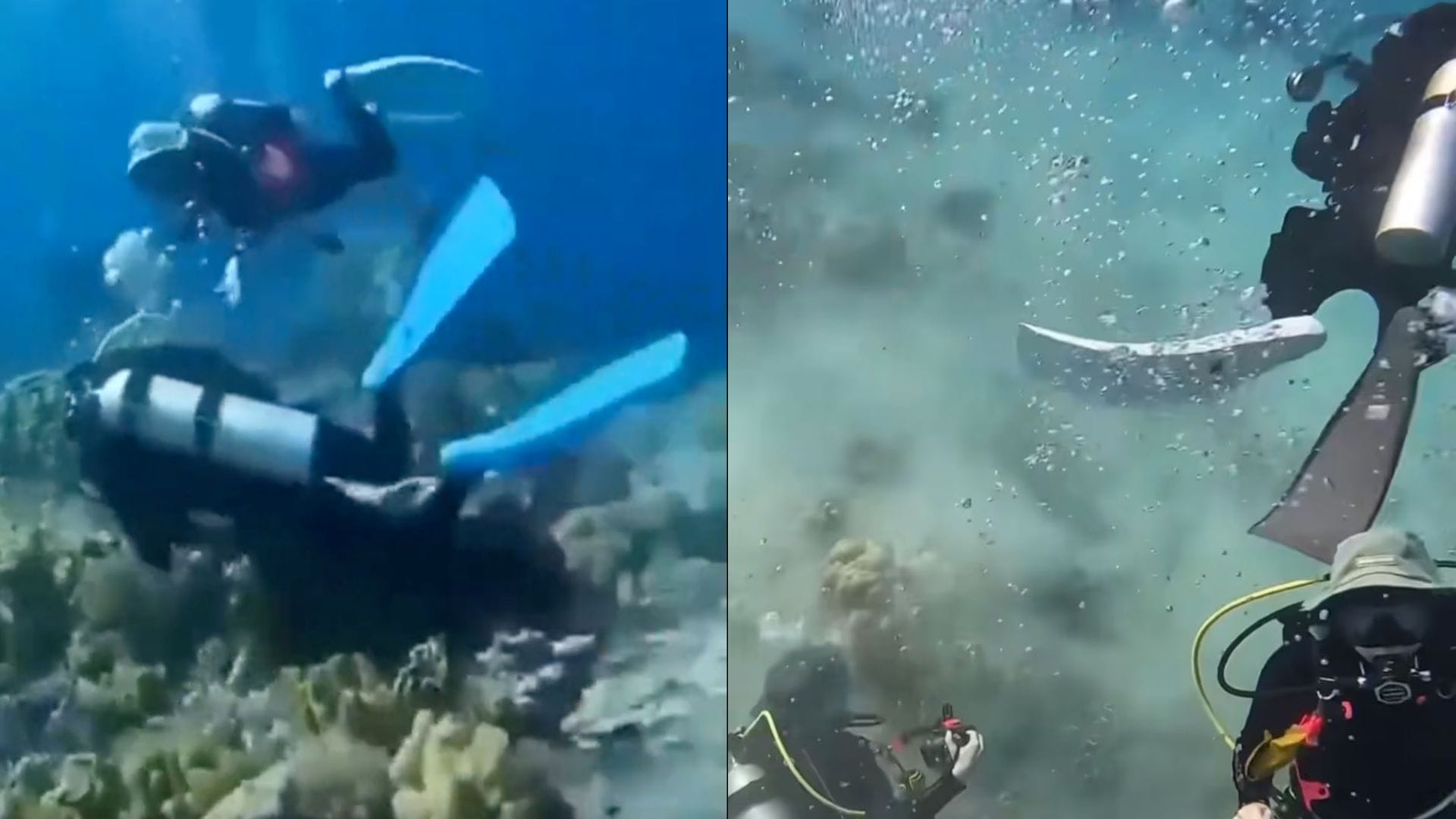 Así se siente un terremoto bajo el mar: Buzos registraron el momento exacto de un sismo de magnitud 7.2