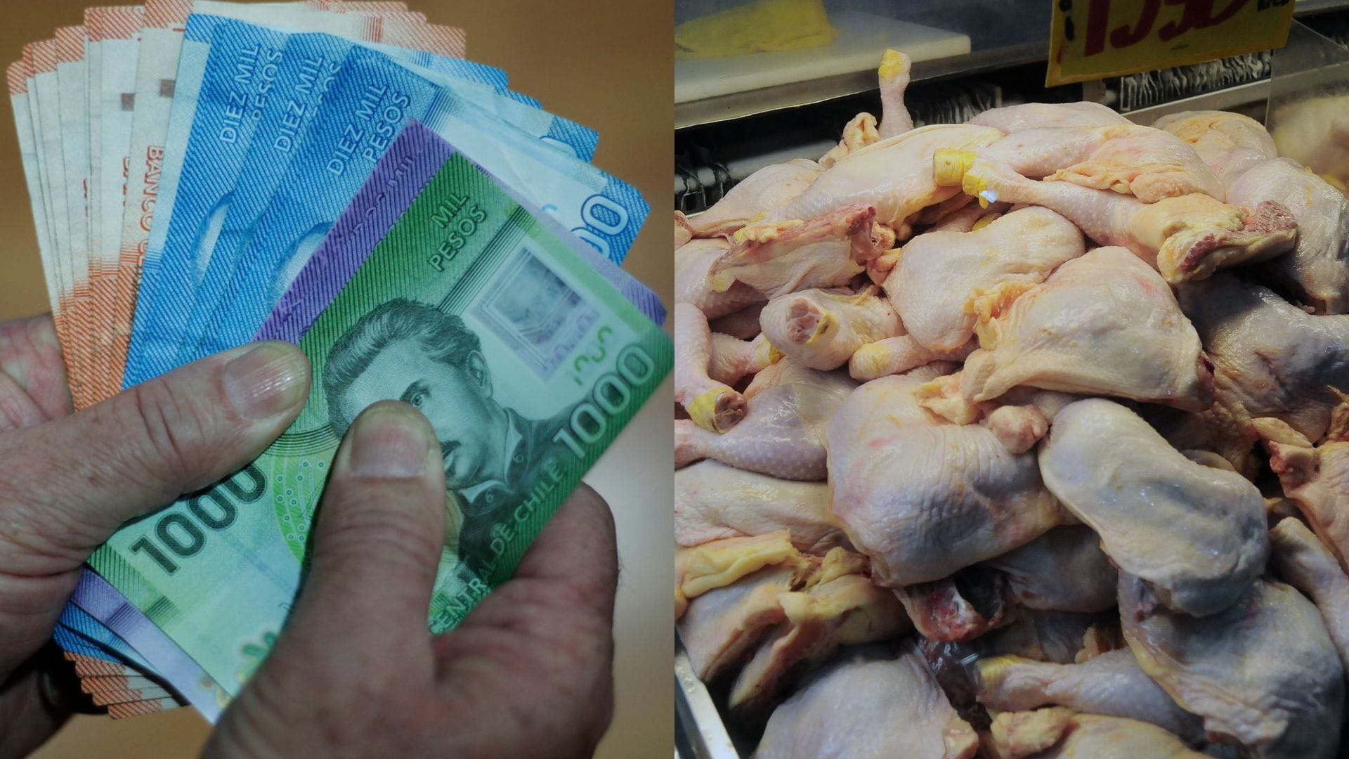 Colusión de los pollos: Quiénes serán compensados, cuál es el monto y fecha de pago
