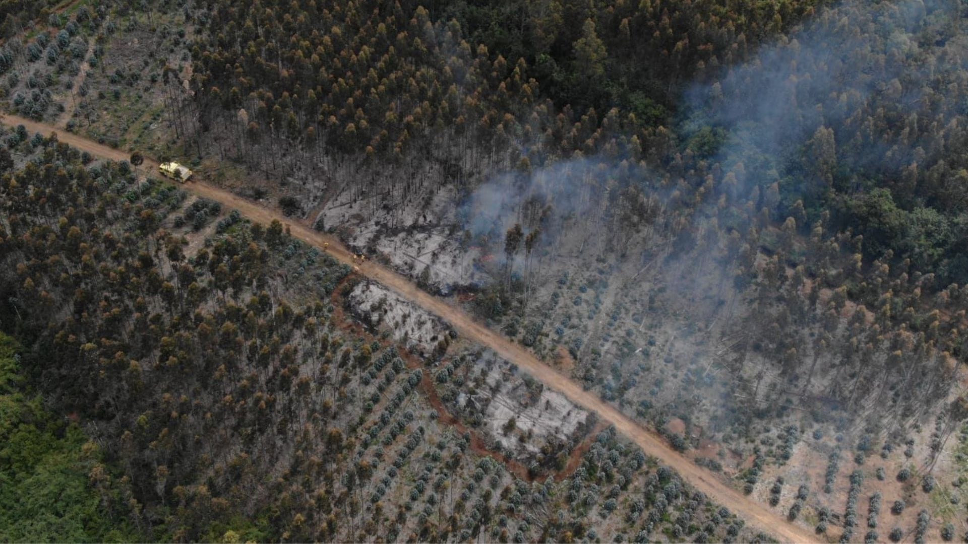 Fundo de Arauco con más de 50 denuncias por usurpación lleva dos días seguidos con focos de incendio