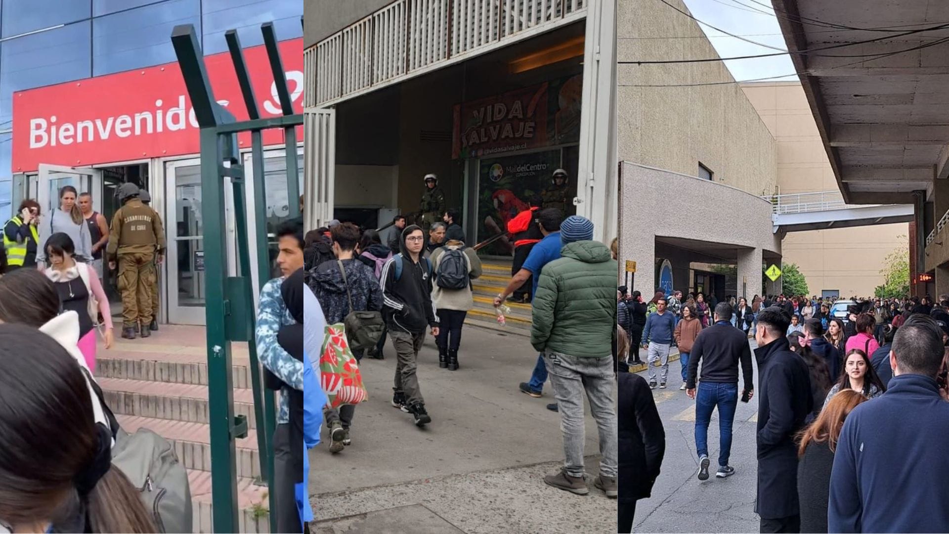 Gobierno condena explosiones de bombas de ruido en malls del Gran Concepción: Anunció querella