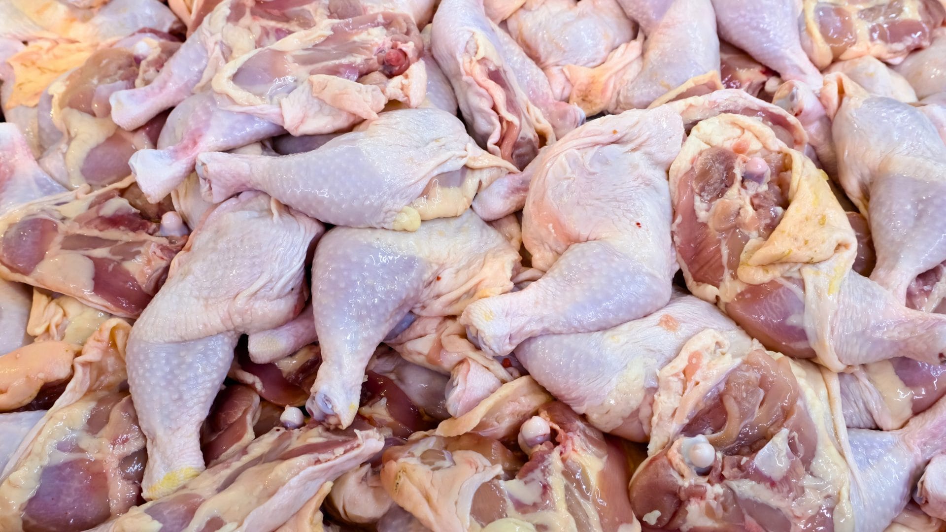 Decomisan 2 toneladas de pollo descompuesto en El Bosque: Manipulaban información clave