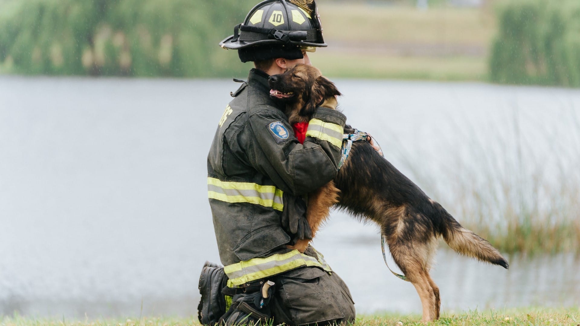Fotografían a Bomberos de Concepción junto a perritos que buscan hogar: Piden más difusión