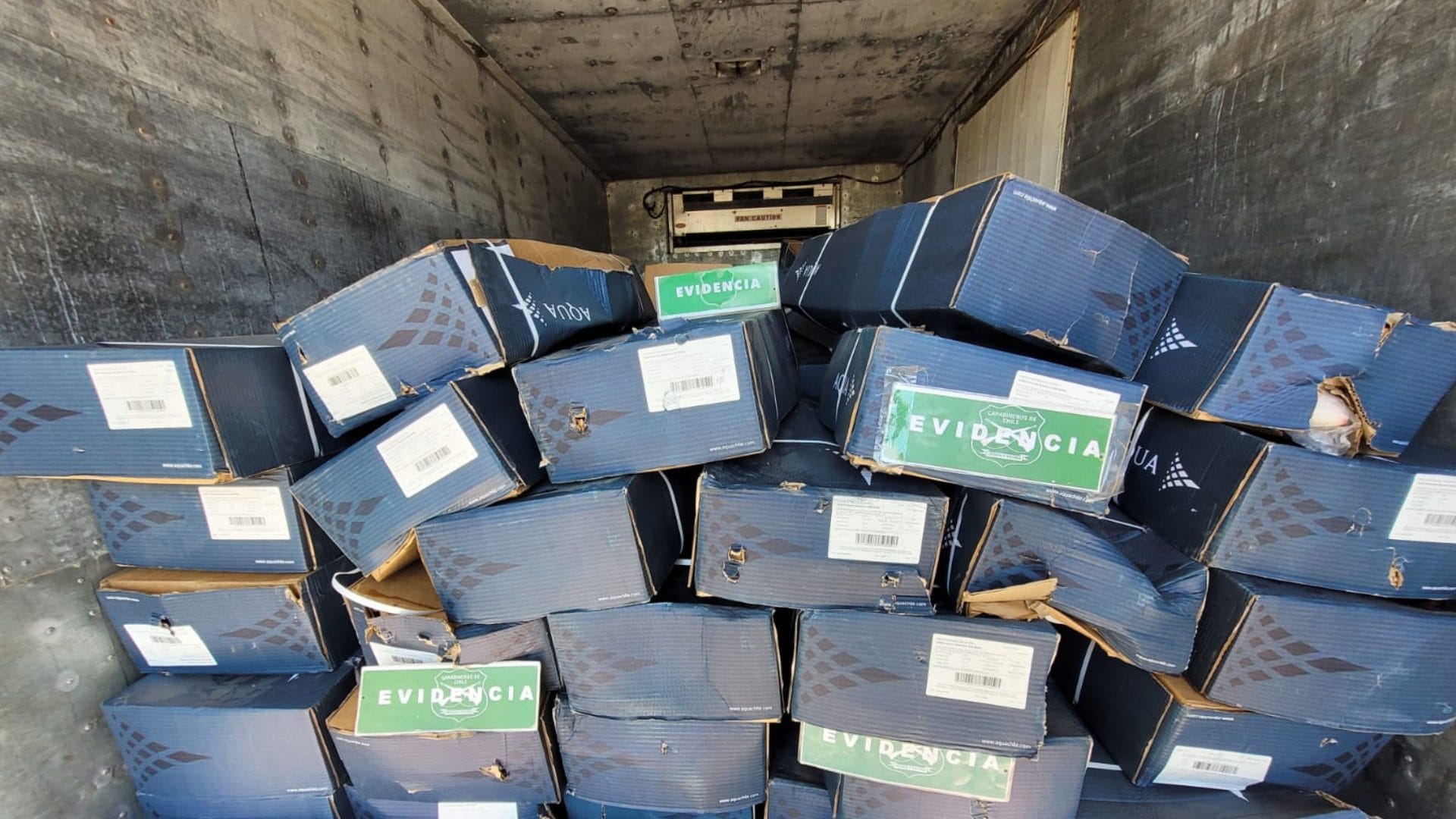 Recuperan camión con $150 millones en salmones robados en el Biobío