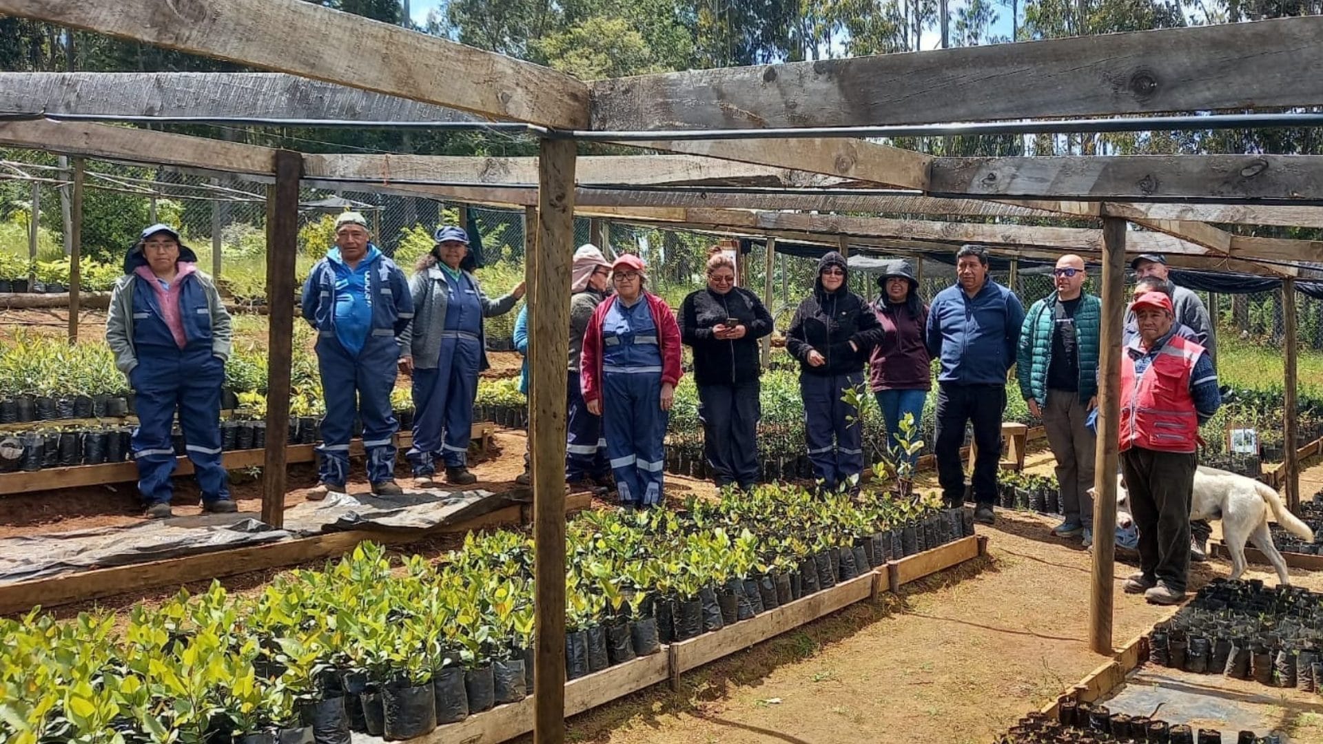 Infor organizó seminario para analizar la viverización y restauración forestal en el Biobío