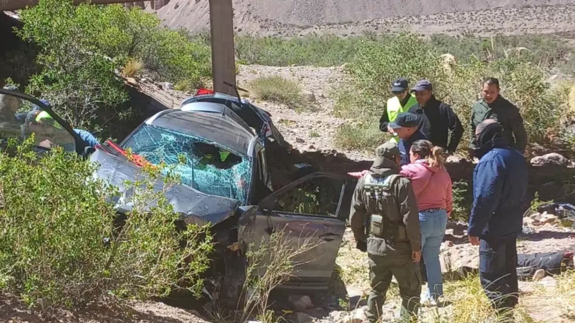 Habría tratado de esquivar camión: Chilena murió tras perder el control de su auto y volcar en Argentina