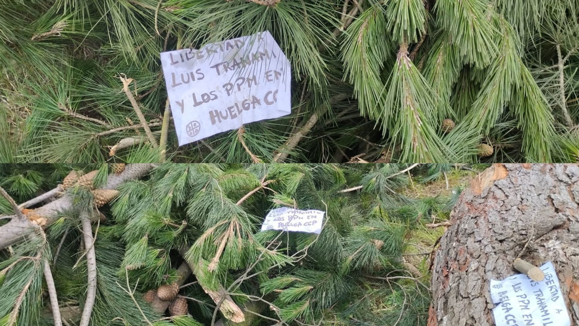 Dejan panfletos en Autopista del Itata con consignas mapuche tras cortar la ruta con barricadas y árboles