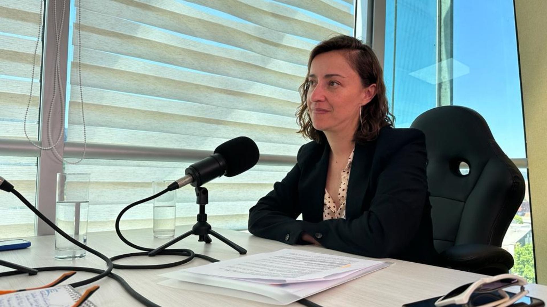 Subsecretaria de Ciencia Carolina Gainza explicó los detalles de la iniciativa “Desafíos por la recuperación post incendios”