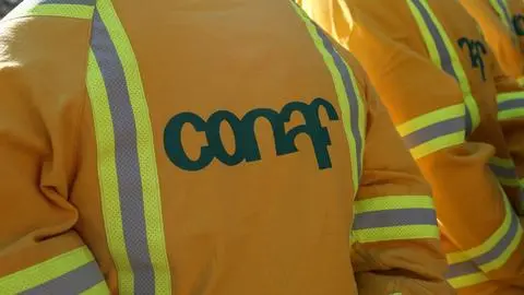 Trabajadores de Conaf inician paro regional en Biobío y Ñuble por cambios en SERNAFOR