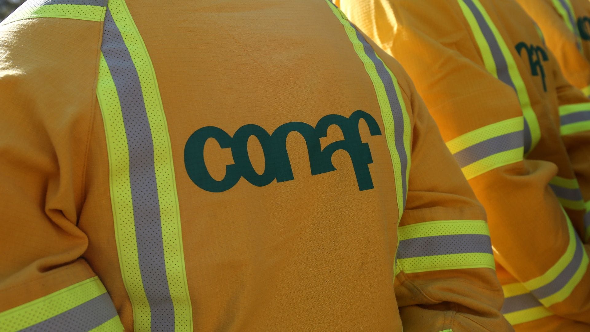 Joven brigadista de Conaf fallece durante accidente de tránsito en Villarrica