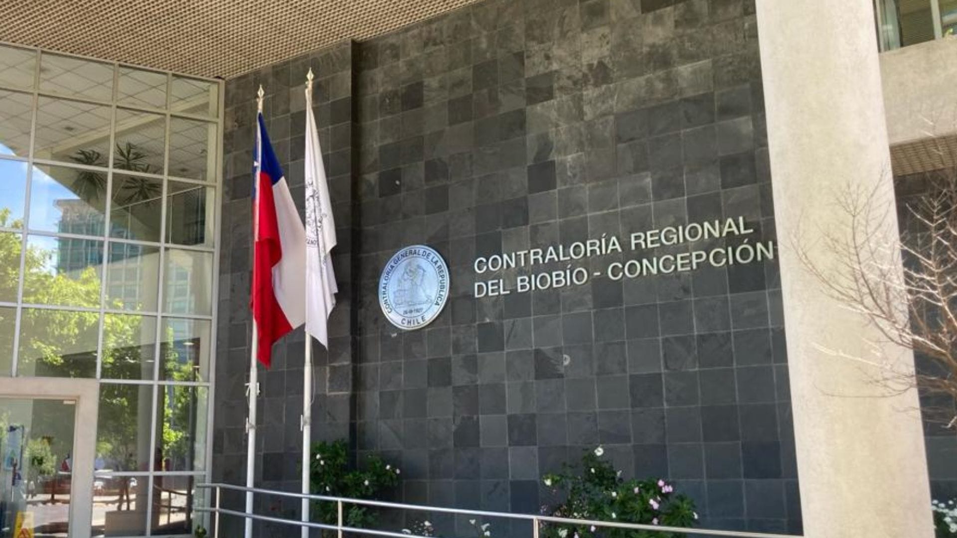 Contraloría determina salida de presidenta regional de la DC desde la Municipalidad de Concepción: Funcionaría apelará
