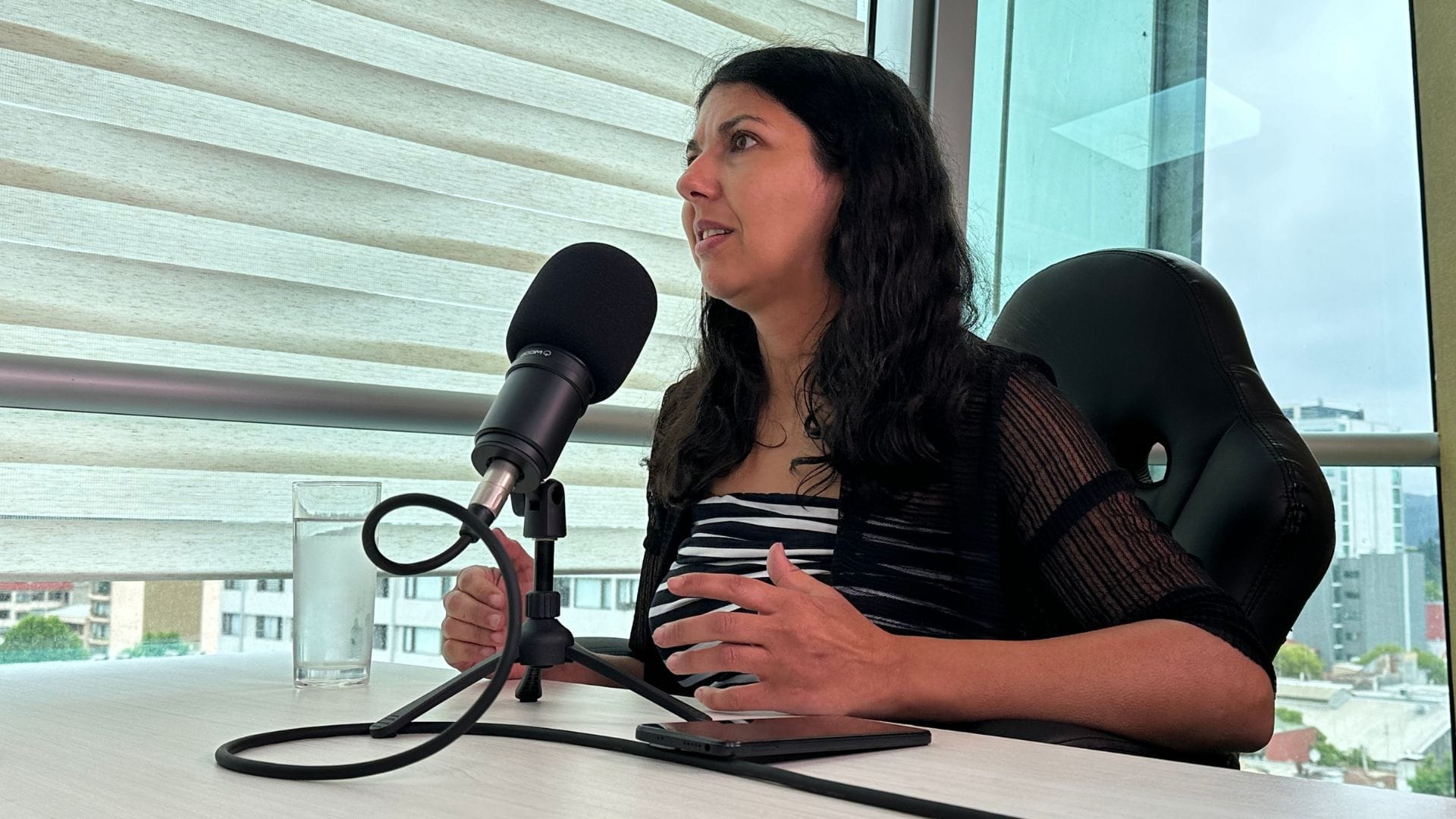 Seremi de Energía del Biobío confirmó que el Hidrógeno Verde producido en la zona será de consumo interno