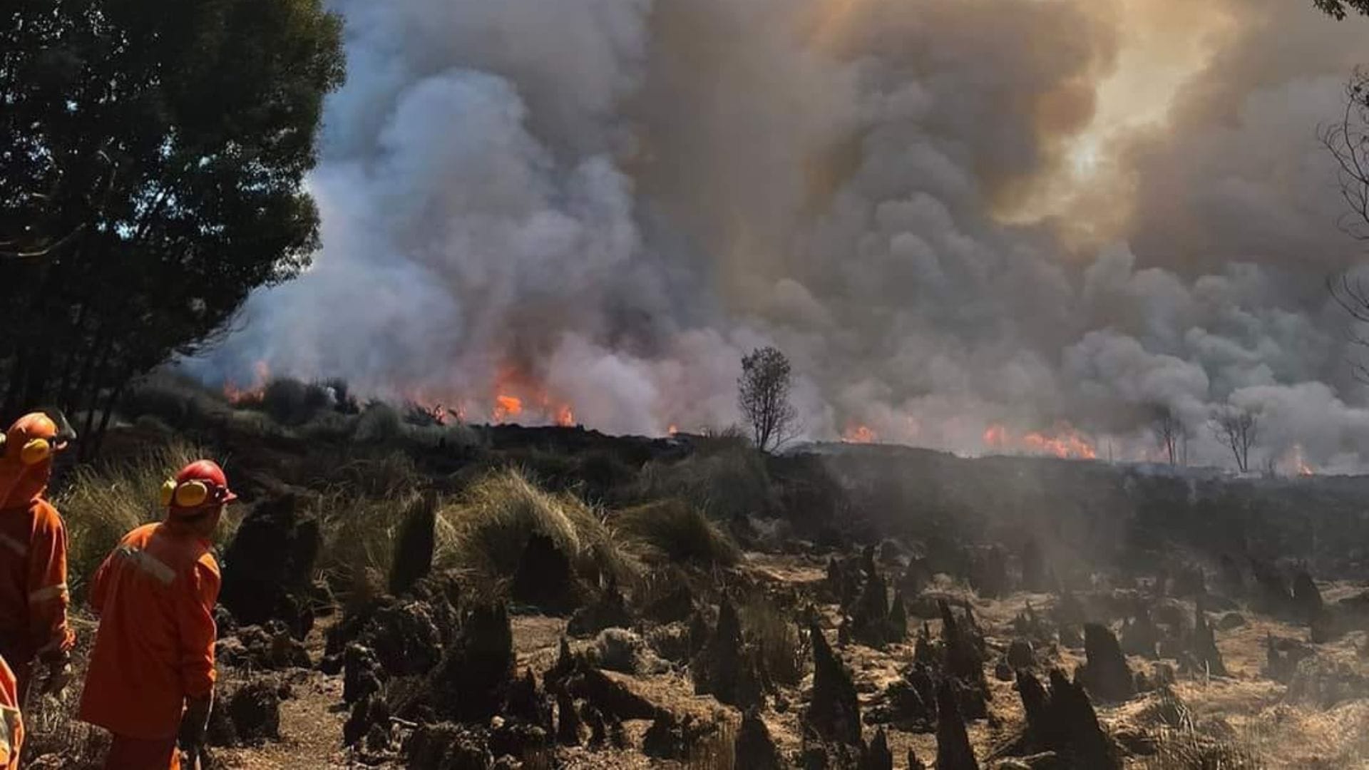 Llaman a estar alerta ante multiplicidad de incendios forestales activos en San Pedro de la Paz