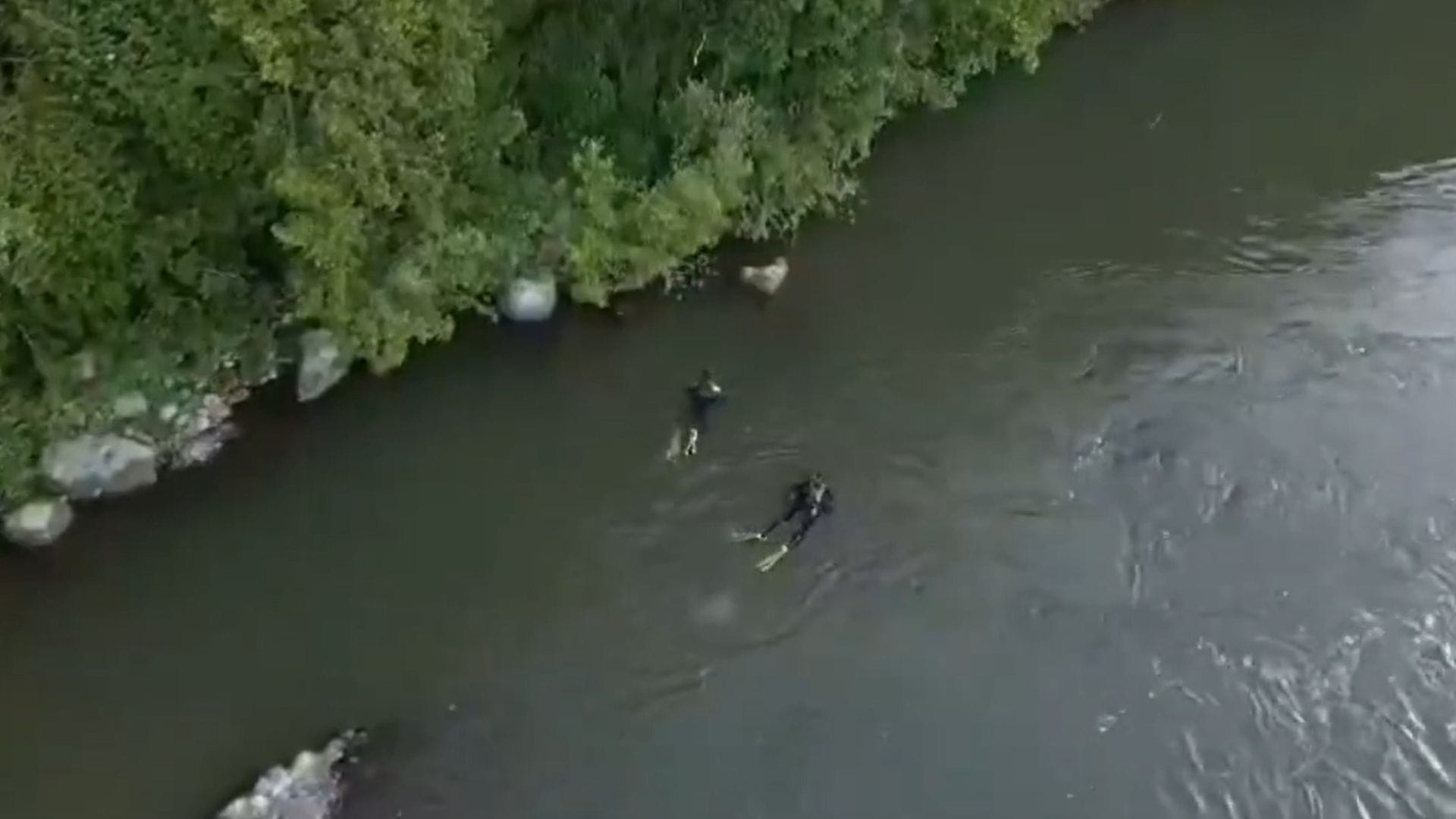 Despliegan intensa búsqueda por adolescente que cayó al río Cautín