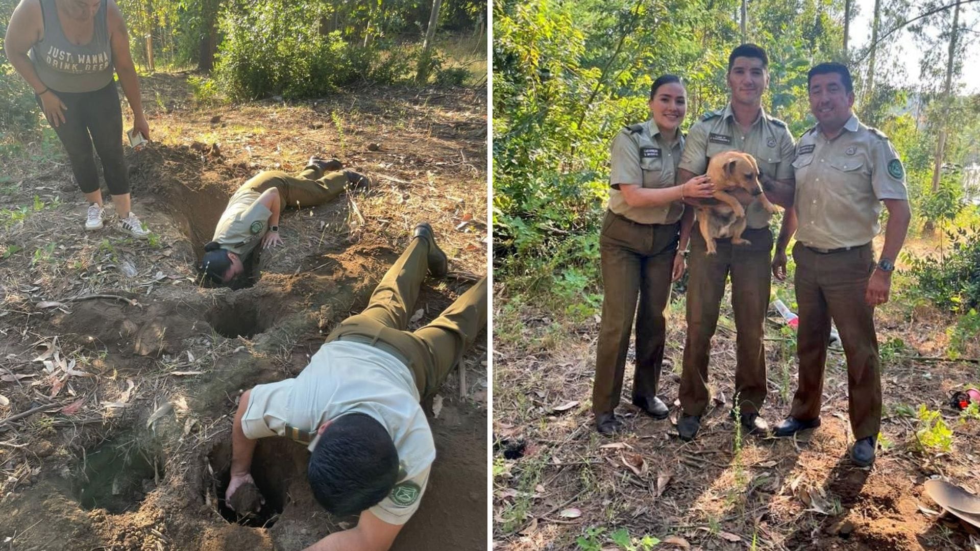 Nacimiento: Carabineros logró rescatar a perro que estaba atrapado bajo tierra