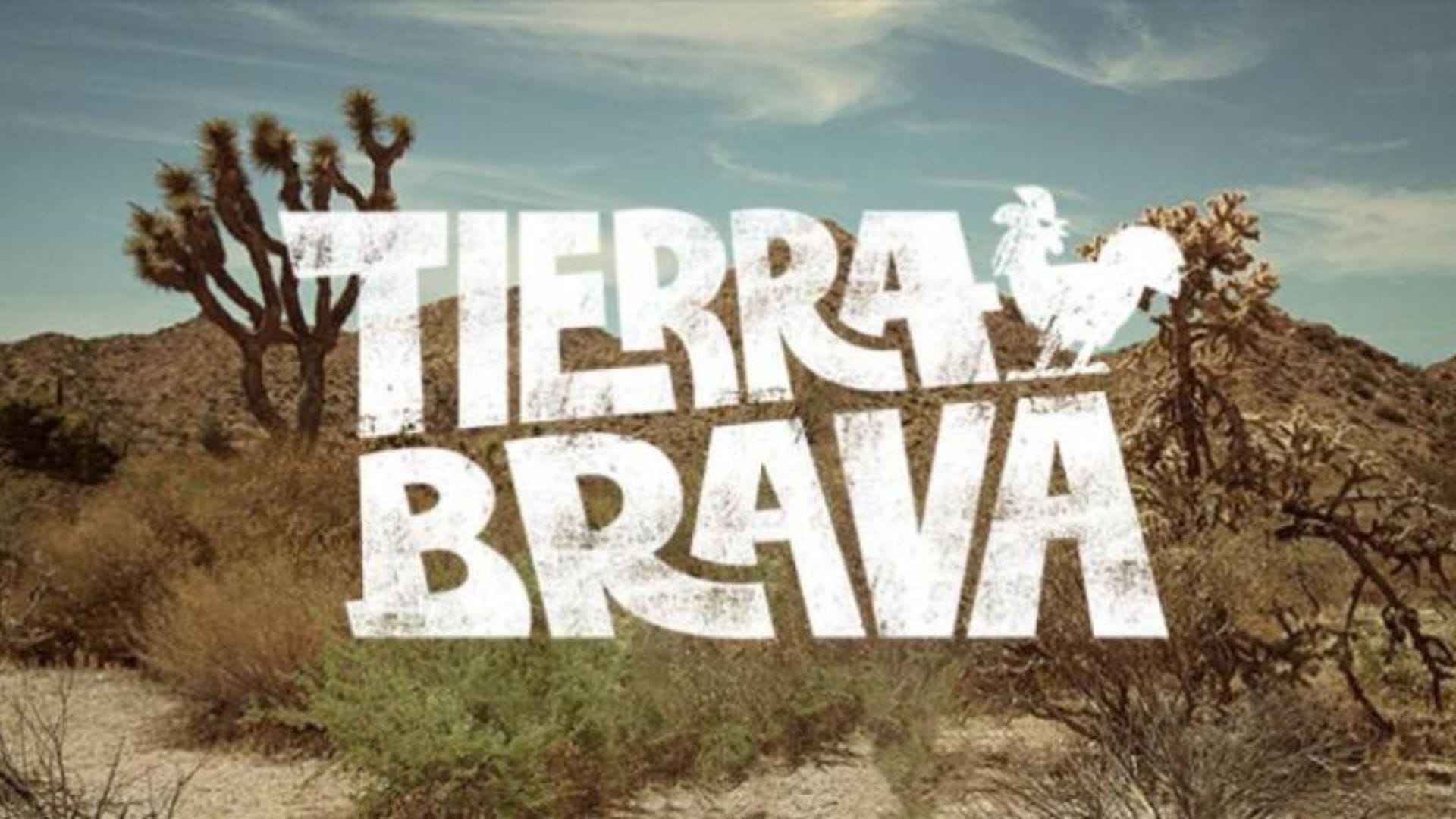 Los tres rostros fuertes de Tierra Brava que quedan eliminados en antesala de la gran final
