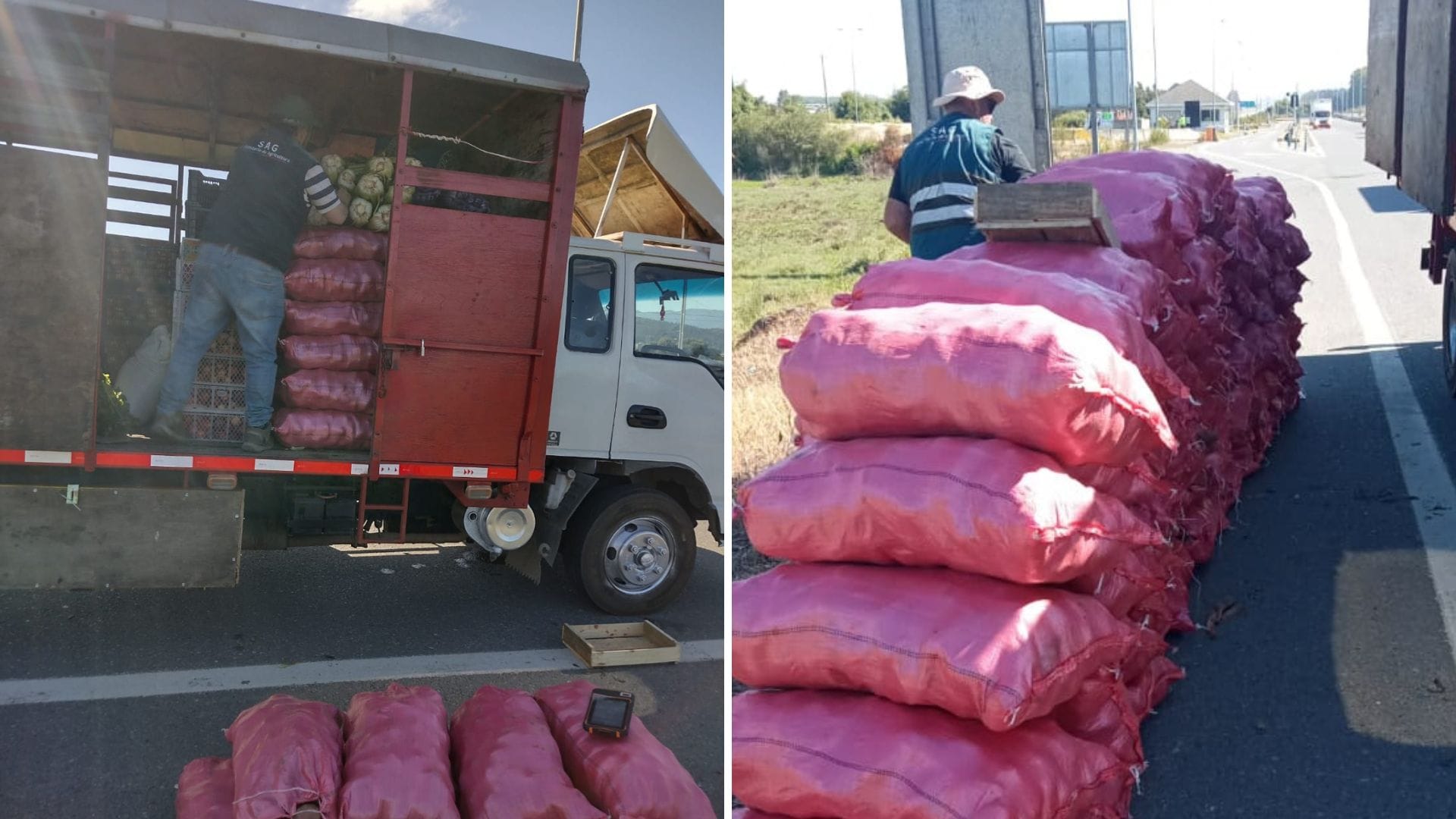 SAG retiene 100 sacos de papas que pretendían ser comercializados en la provincia de Arauco