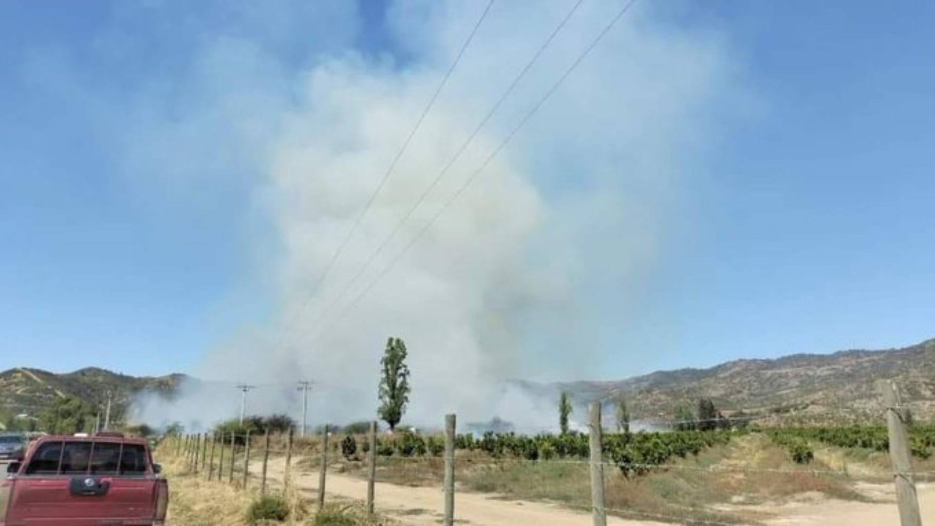 Declaran Alerta Roja en la región de O’Higgins: Incendio forestal en la comuna de Las Cabras “se presenta cercano a sectores poblados”