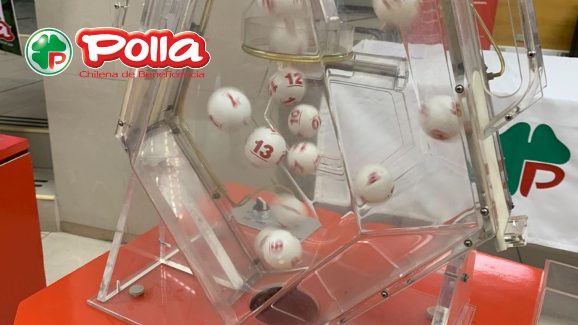 ¡Tres son del Biobío!: “La Suerte en Chile” anunció a los 24 ganadores del sorteo anual
