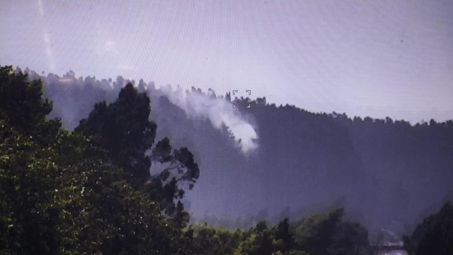 Registran incendio forestal en Hualpén: Fue rápidamente controlado por CONAF y Bomberos
