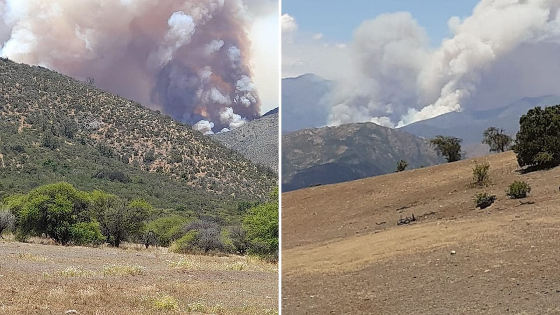 Confirman más de 1.600 hectáreas quemadas en en la provincia de Marga Marga