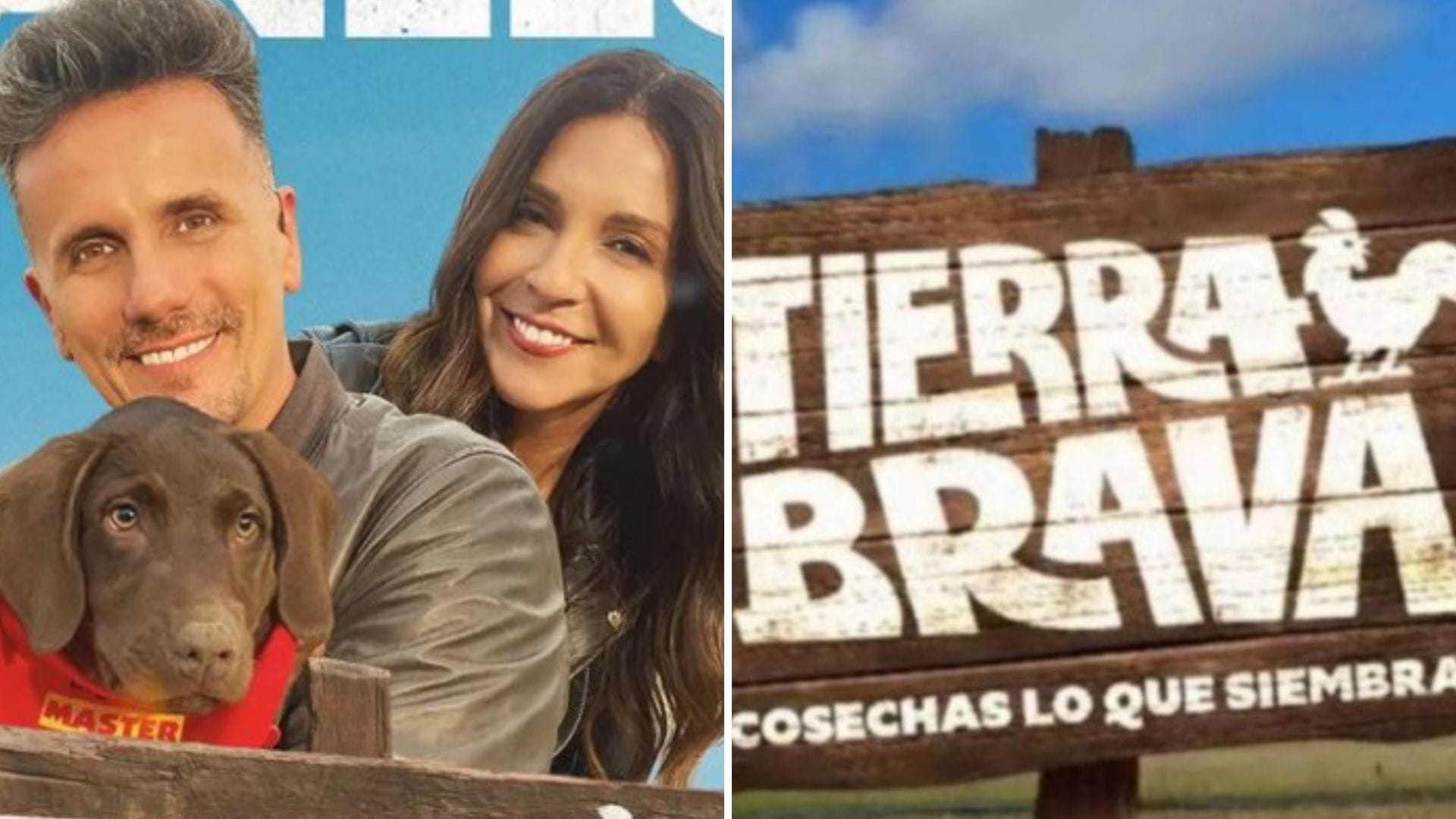 El nuevo perro de Tierra Brava “Canelo” ya tiene dueña: ¡Fue eliminada en tiempo real!