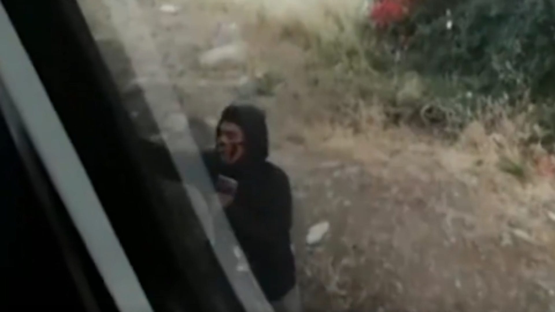 Desconocidos vandalizaron tren Limache-Valparaíso: se grabaron mientras rayaban vagones