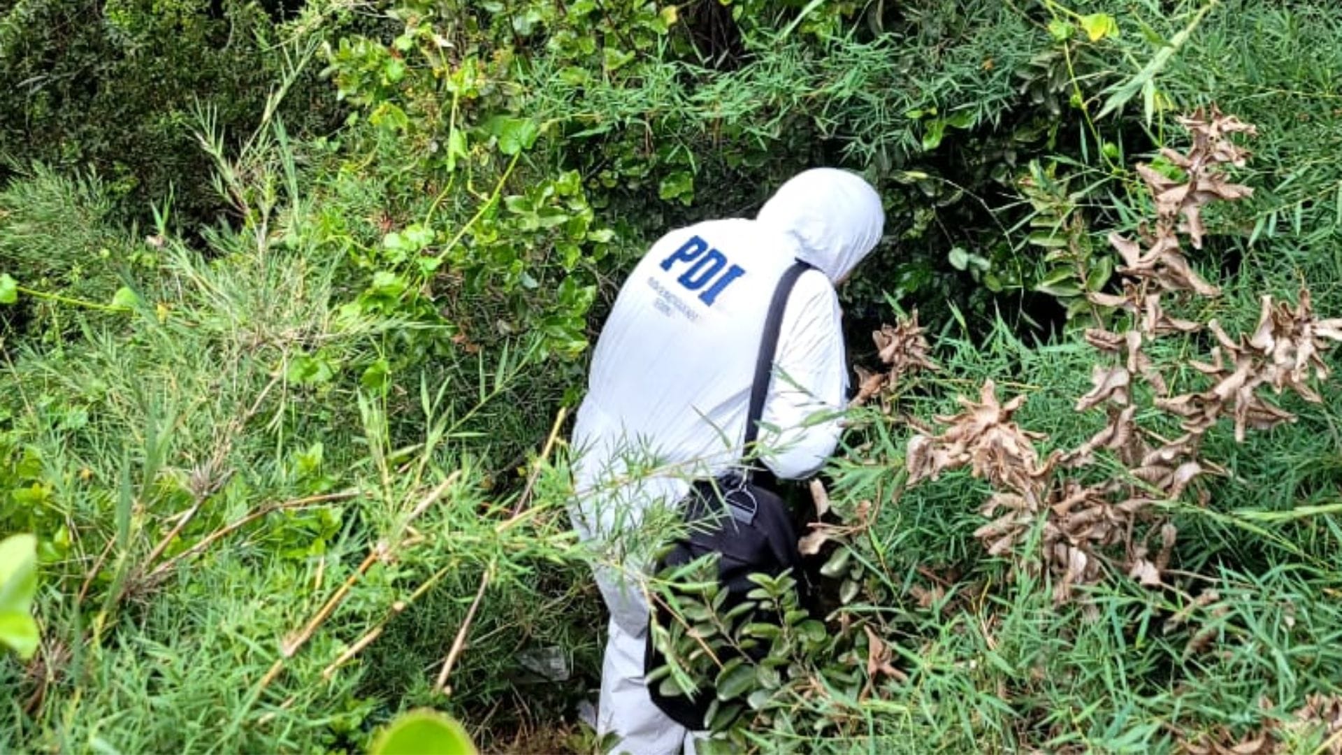 Infanticidio en Talcahuano: Hallan a bebé recién nacido enterrado en un cementerio de mascotas