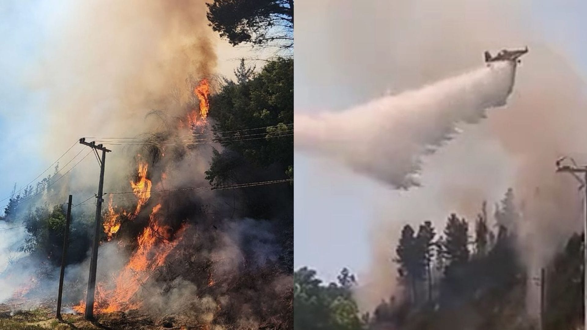 Incendio forestal afecta a ruta que une Florida y Concepción: Cierran camino de puente 4 y 5