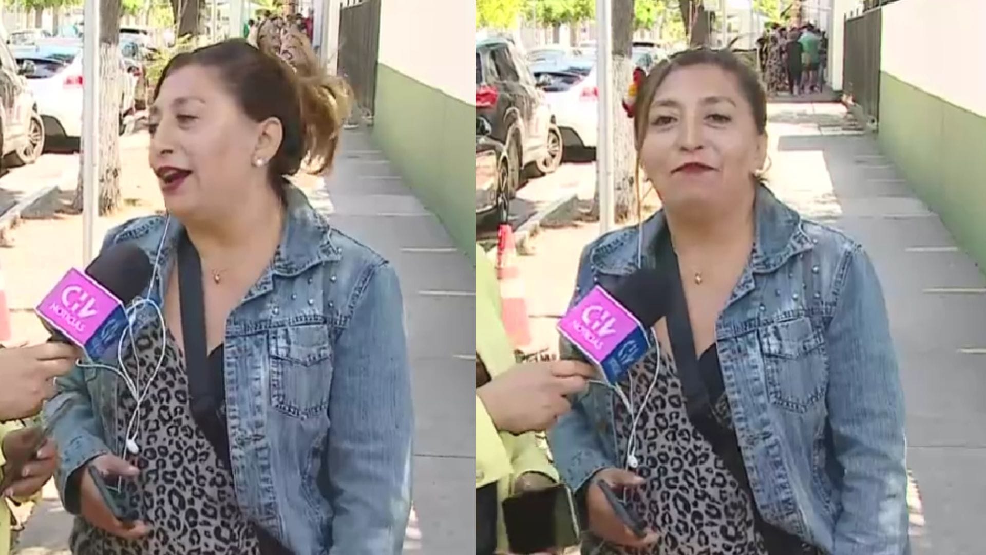 Pincoya llegó hasta comisaría de Santiago para excusarse por no votar en el plebiscito
