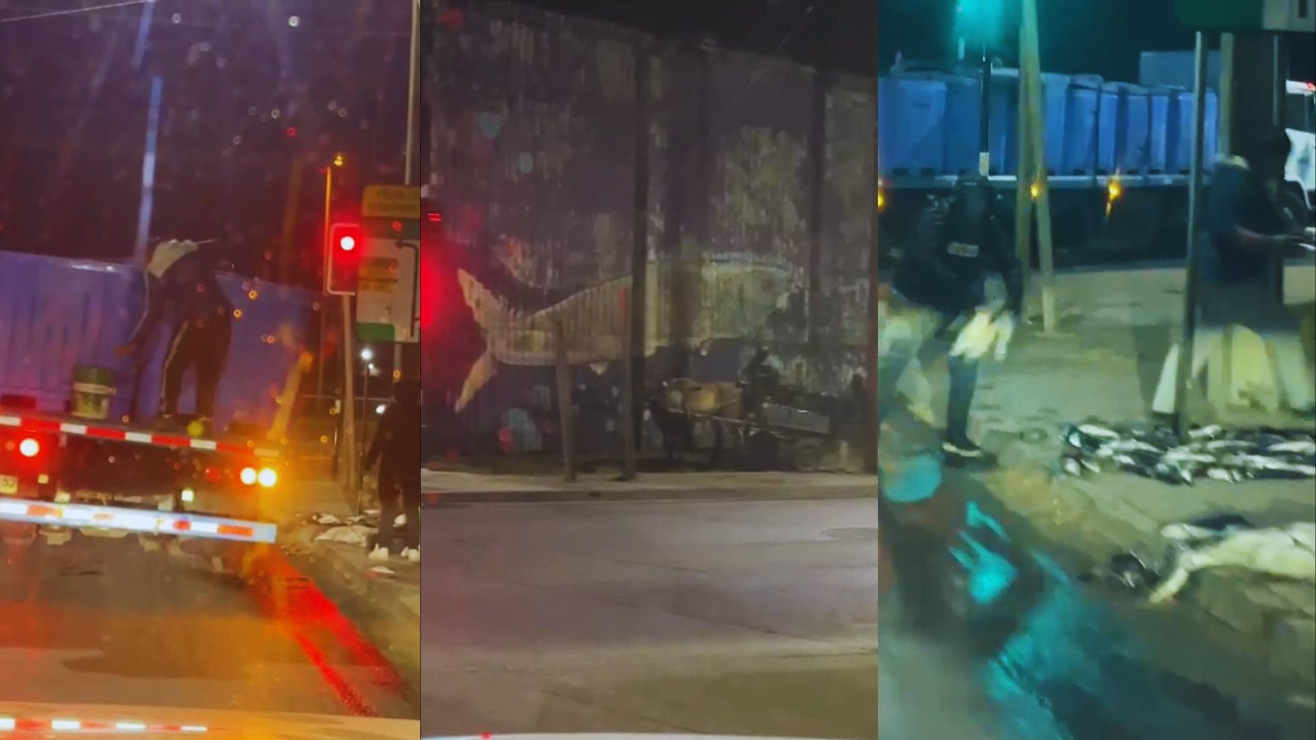 Fusión delictual entre “gatos” y ladrones del “carretón” atacan sin parar al rubro de la pesca en Talcahuano