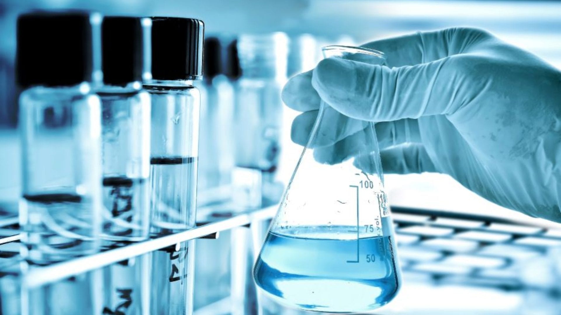 USS se ubica entre las 10 universidades con más proyectos adjudicados en convocatoria Fondecyt de Iniciación 2024
