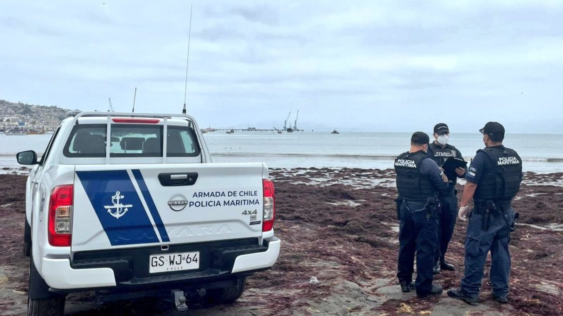 Lo perpetró cuando la víctima seguía viva: En prisión quedó imputado por descuartizamiento en Coquimbo