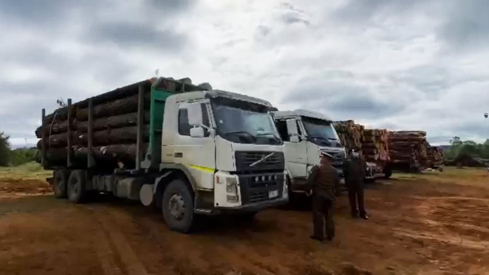 Reprograman juicio de uno de los capos del robo de madera en Cañete: Audiencia de “El Mentolato” quedará para 2024