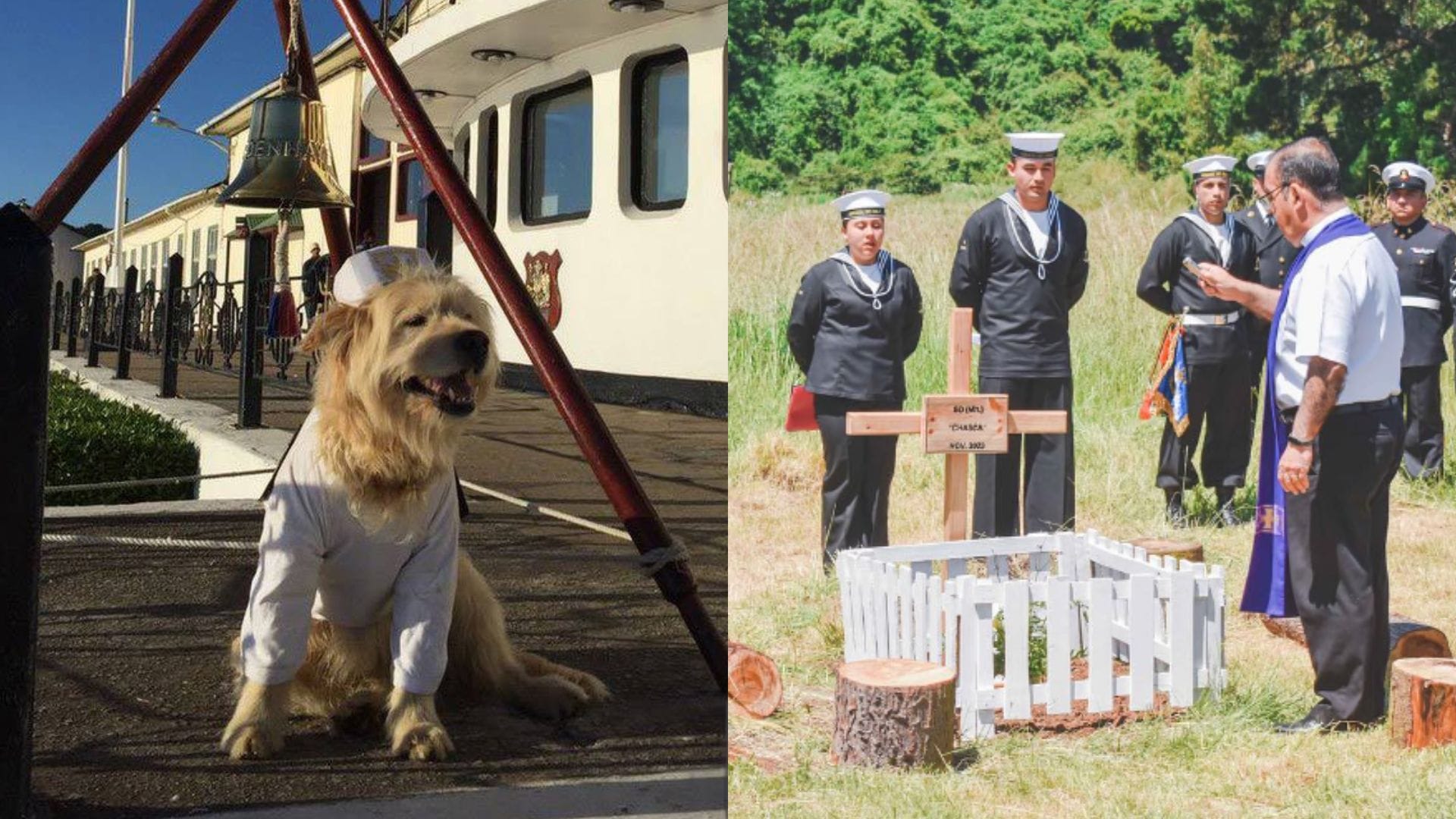 Grumetes realizan emotiva despedida al perro “Chasca”, adoptado por la Escuela de Isla Quiriquina