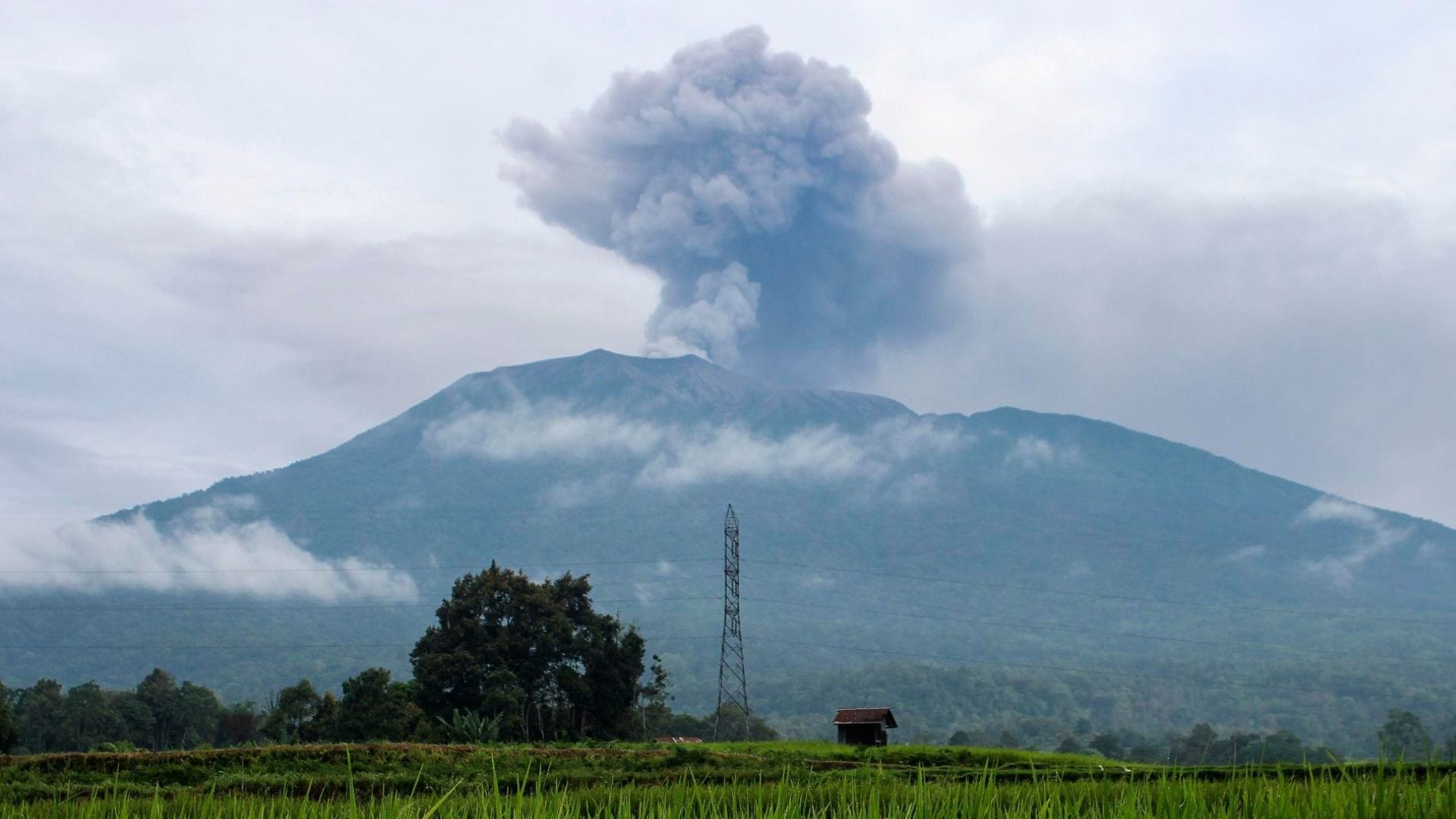 11 alpinistas murieron tras erupción de volcán en Indonesia