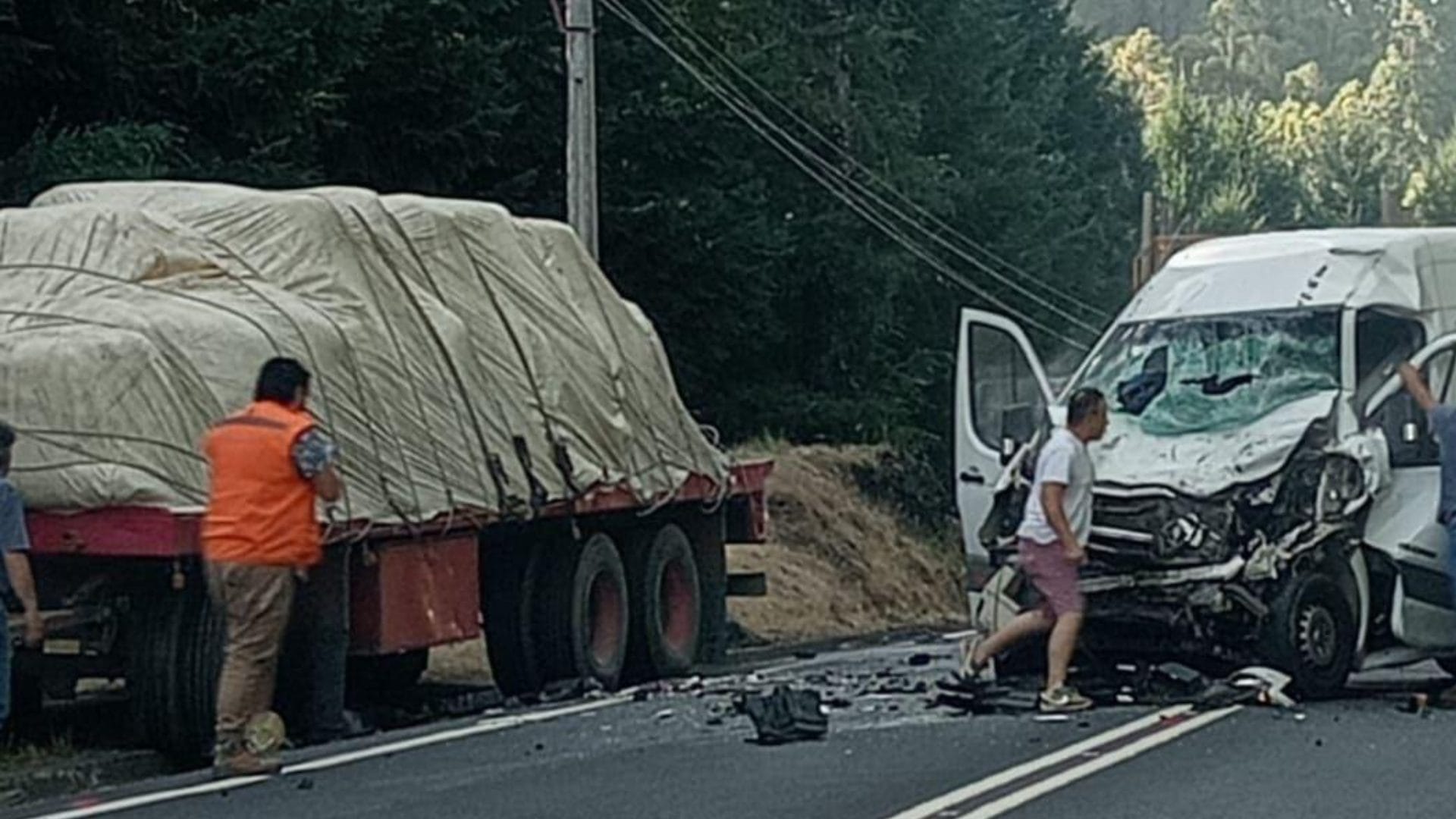 Camión colisionó contra furgón y deja una persona fallecida en la Ruta de la Madera