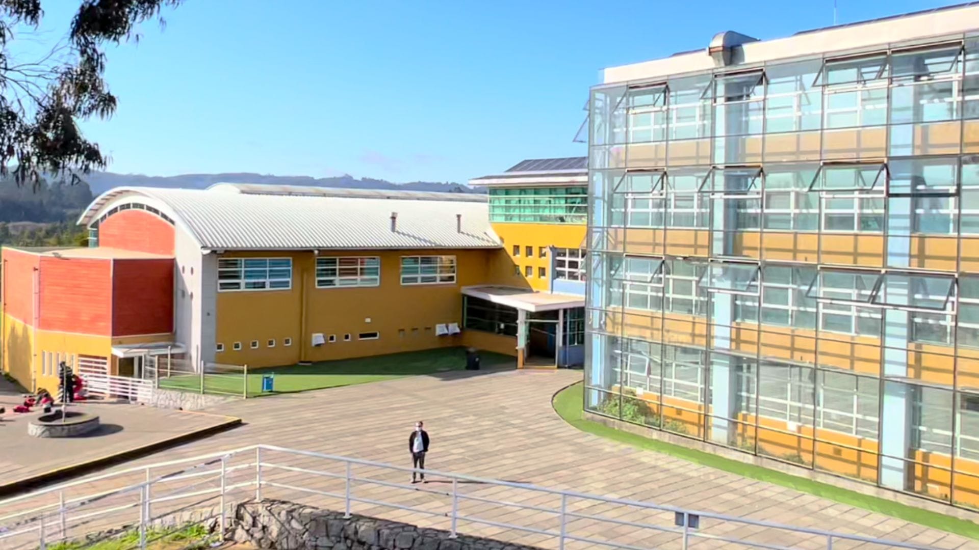 Recurren a la justicia ante caso de bullying escolar en Concepción: Colegio habría anulado sanciones a agresores