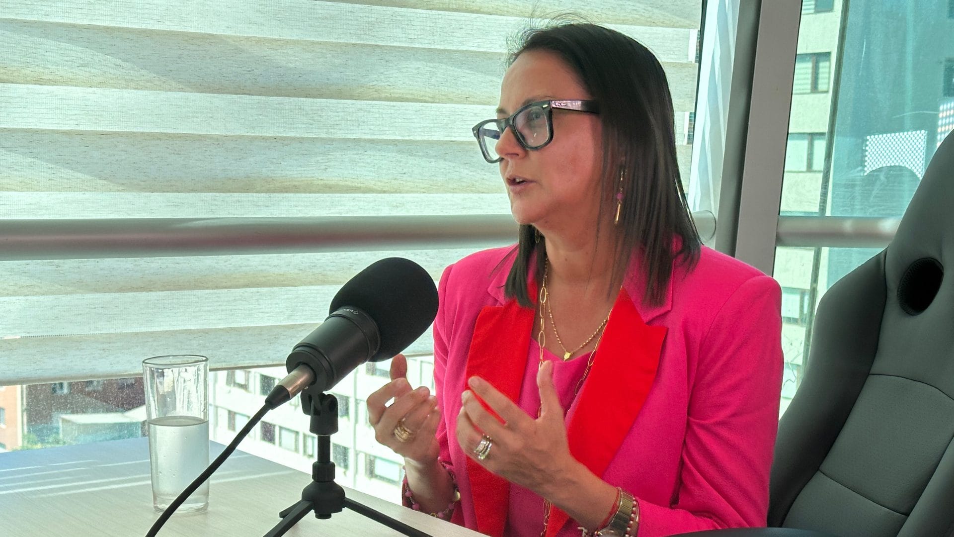 “Hay un tema de capital cultural”: Vicepresidenta de RedCol Biobío por brecha entre recintos estudiantiles