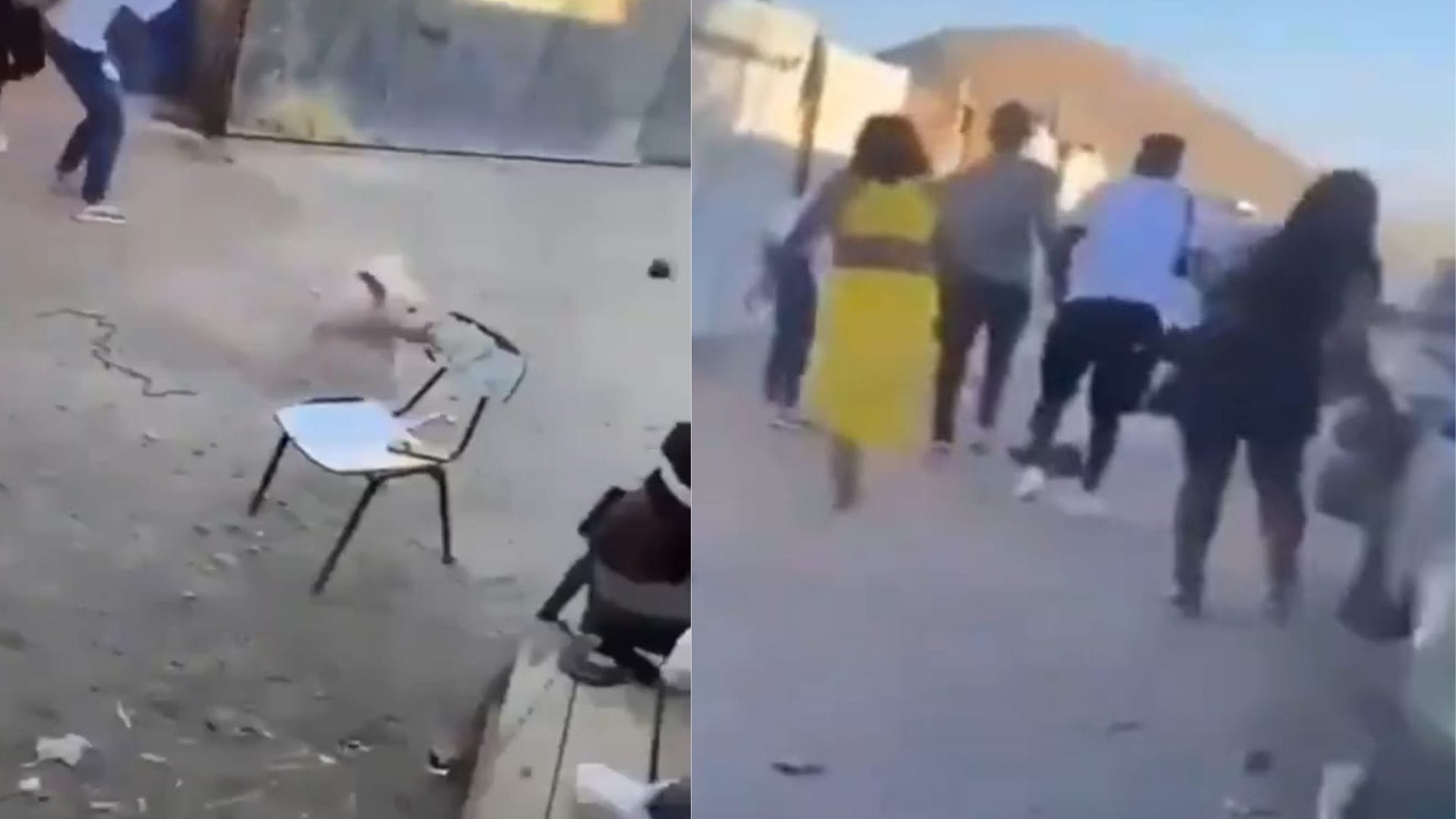 Abren investigación de oficio tras cruel caso de maltrato animal en Copiapó